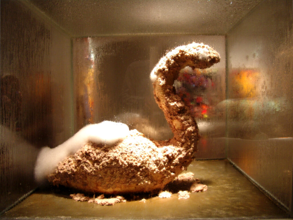 Swan figure in the glass vitrine